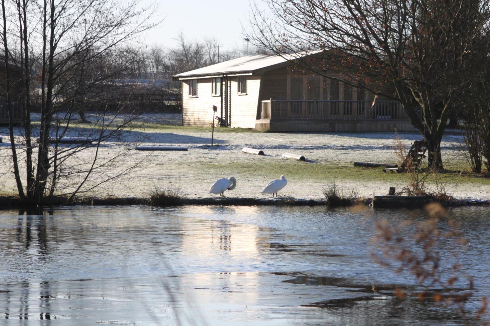 Woodpecker Lodge - Brook Meadow - Sleeps 4 Plus 2 - No Pets Market Harborough Extérieur photo